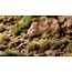 Gamers Grass Gamers Grass: Basing Bits - Temple