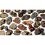 Gamers Grass Gamers Grass: Basing Bits - Urban Warfare