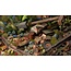 Gamers Grass Gamers Grass: Basing Bits - Urban Warfare
