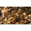 Gamers Grass Gamers Grass: Basing Box - Golden Autumn Glade