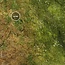 PWork Wargames PWork Wargames: Woodland (48"x72")