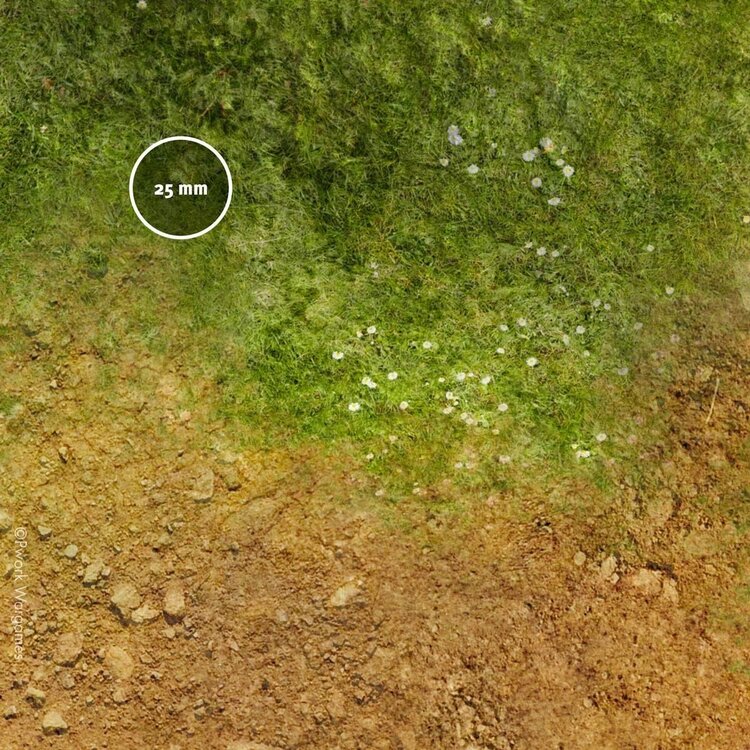 PWork Wargames PWork Wargames: Overlord (48"x72")