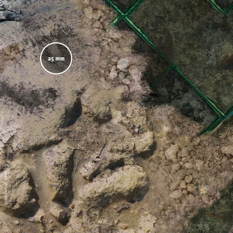 PWork Wargames PWork Wargames: Necropolis (48"x72")