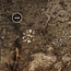 PWork Wargames PWork Wargames: Deadland (48"x72")