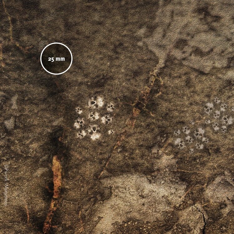 PWork Wargames PWork Wargames: Deadland (48"x72")