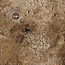 PWork Wargames PWork Wargames: Arid Plain (48"x72")