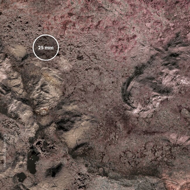 PWork Wargames PWork Wargames: Alien Planet (48"x72")