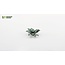 Gamers Grass Gamers Grass: Laser Plants - Blue Agave
