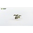 Gamers Grass Gamers Grass: Laser Plants - Bugloss