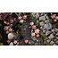 Gamers Grass Gamers Grass: Laser Plants - Lotus Flower