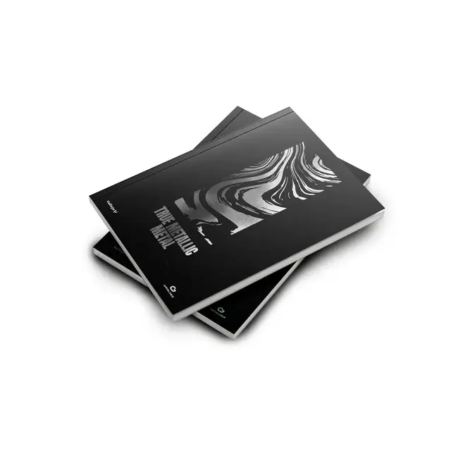 Giraldez Giraldez: True Metallic Metal - BSL System (en)