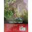Wizards of the Coast Wizards of the Coast - Dungeons & Dragons: Forgotten Realms - Heroes of Faerûn - Player Expansion (eng)