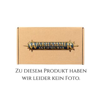 Games Workshop Disciples of Tzeentch: Magister on Disc of Tzeentch