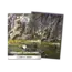 Dragon Shield Dragon Shield: Verdant Catacombs -  Landfall Series - Matte Dual Art Sleeves (100 Standard Size Sleeves)