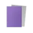 Dragon Shield Dragon Shield: Nebula & Silver - Matte Dual Sleeves (100 Standard Size Sleeves)