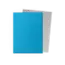 Dragon Shield Dragon Shield: Sky Blue & Silver - Matte Dual Sleeves (100 Standard Size Sleeves)