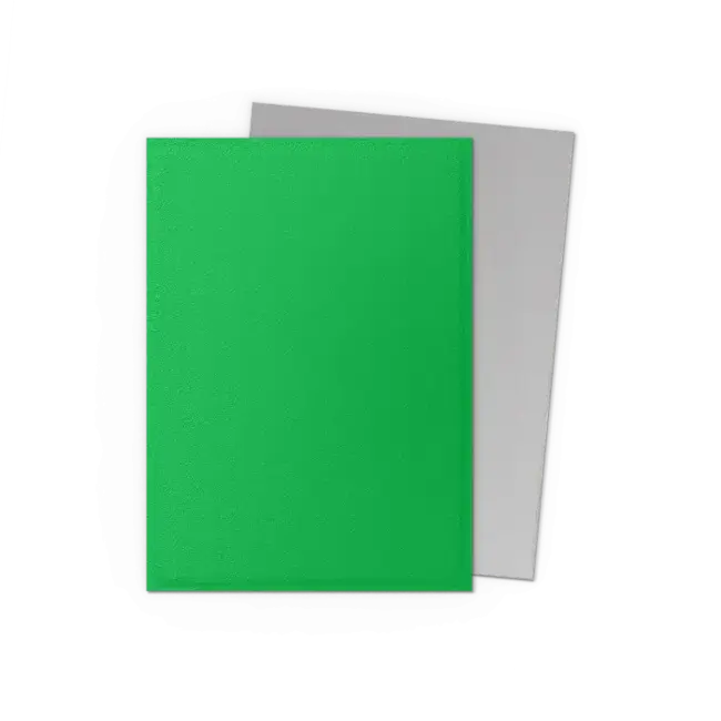 Dragon Shield Dragon Shield: Apple Green & Silver - Matte Dual Sleeves (100 Standard Size Sleeves)