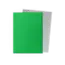 Dragon Shield Dragon Shield: Apple Green & Silver - Matte Dual Sleeves (100 Standard Size Sleeves)