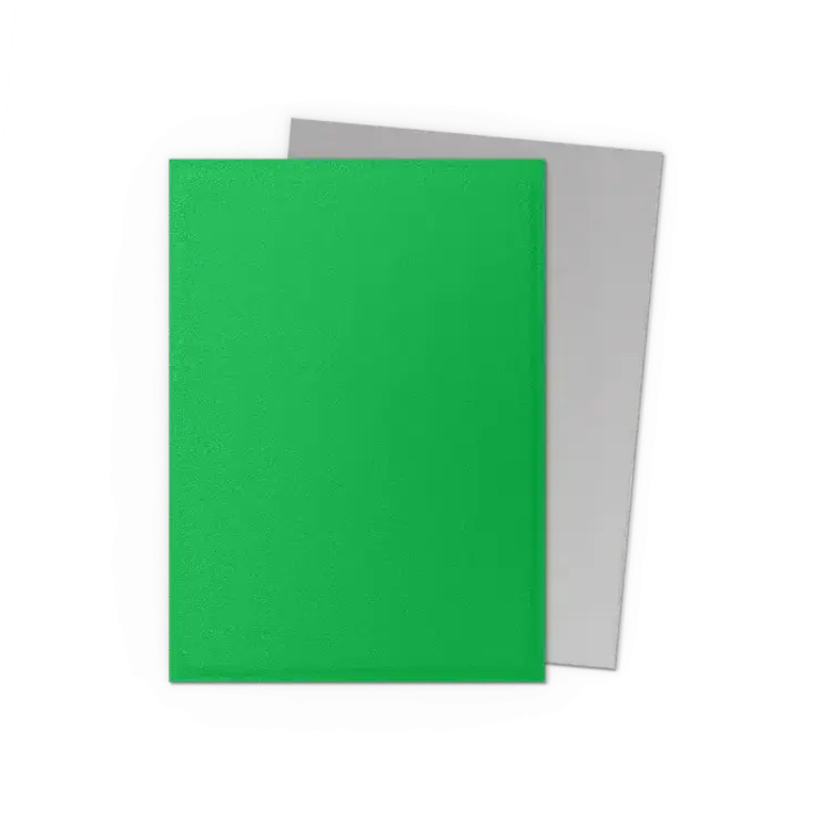 Dragon Shield Dragon Shield: Apple Green & Silver - Matte Dual Sleeves (100 Standard Size Sleeves)