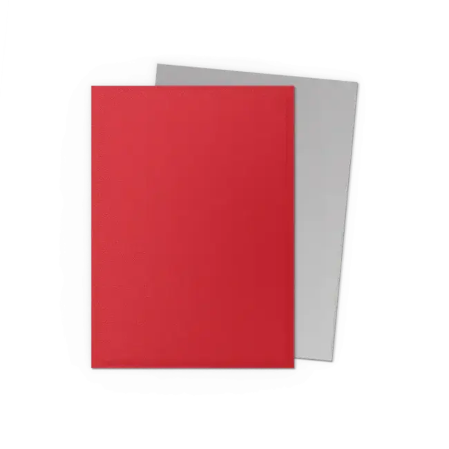 Dragon Shield Dragon Shield: Crimson & Silver - Matte Dual Sleeves (100 Standard Size Sleeves)