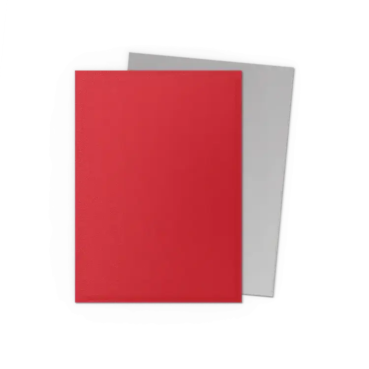 Dragon Shield Dragon Shield: Crimson & Silver - Matte Dual Sleeves (100 Standard Size Sleeves)