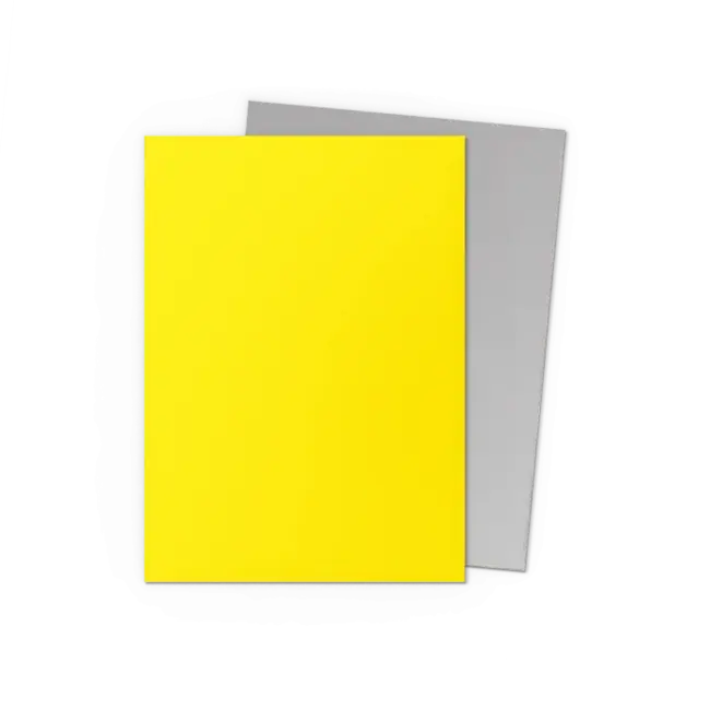 Dragon Shield Dragon Shield: Yellow & Silver - Matte Dual Sleeves (100 Standard Size Sleeves)