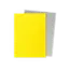 Dragon Shield Dragon Shield: Yellow & Silver - Matte Dual Sleeves (100 Standard Size Sleeves)