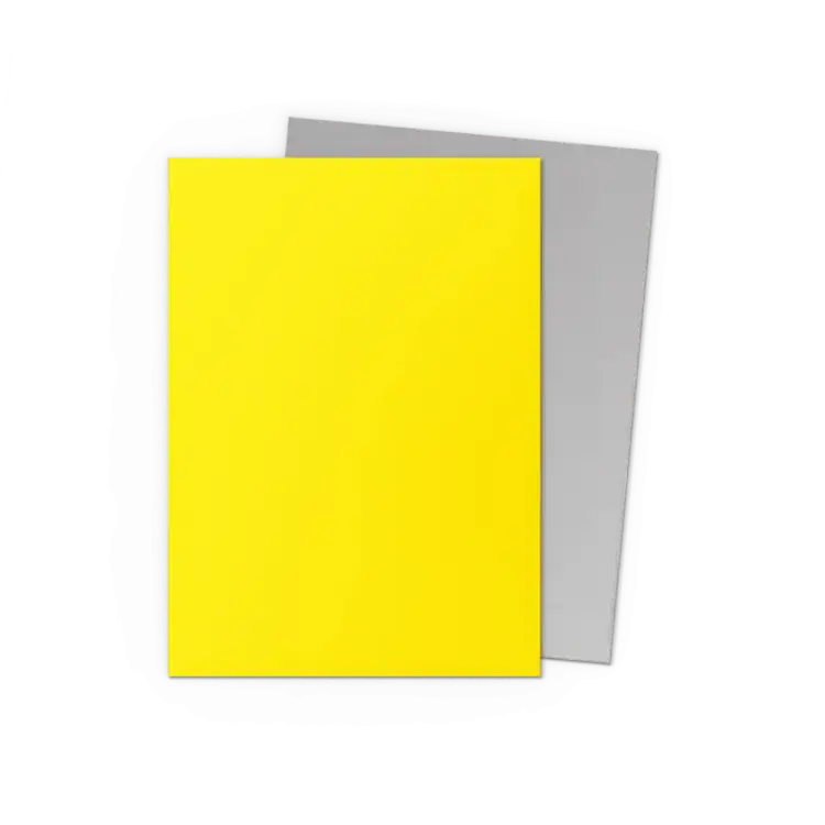 Dragon Shield Dragon Shield: Yellow & Silver - Matte Dual Sleeves (100 Standard Size Sleeves)