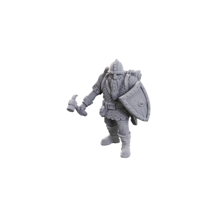 Wizkids Wizkids - Nolzur's Marvelous Miniatures: Dwarves