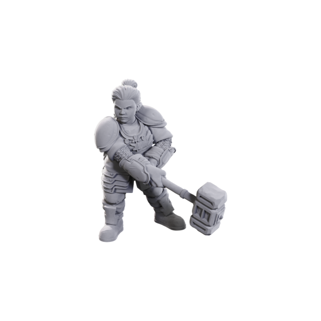 Wizkids Wizkids - Nolzur's Marvelous Miniatures: Dwarves