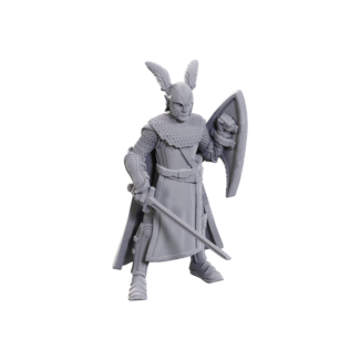 Wizkids Elves