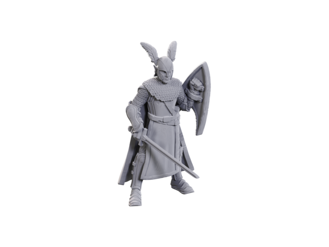 Wizkids Elves
