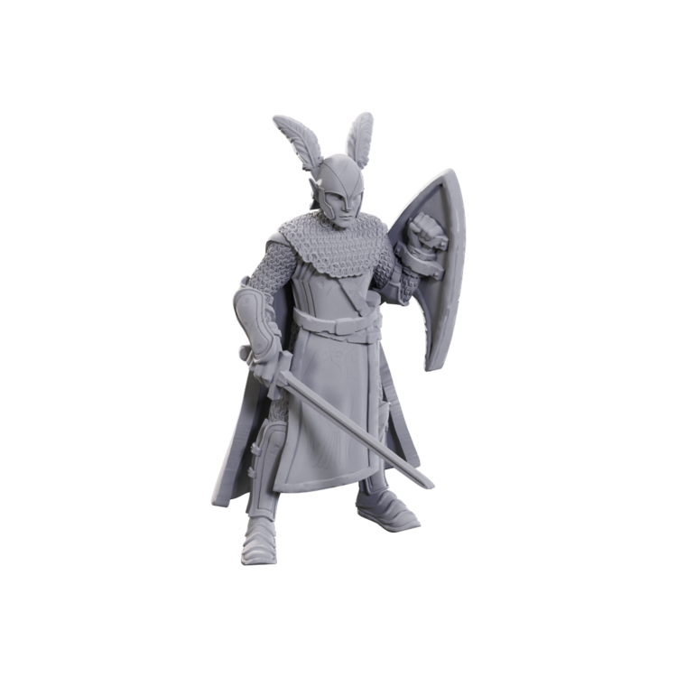 Wizkids Wizkids - Nolzur's Marvelous Miniatures: Elves