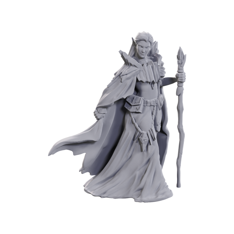 Wizkids Wizkids - Nolzur's Marvelous Miniatures: Elves