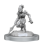 Wizkids Wizkids - Nolzur's Marvelous Miniatures: Vegepygmies