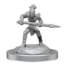Wizkids Wizkids - Nolzur's Marvelous Miniatures: Vegepygmies