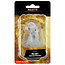 Wizkids Wizkids - Nolzur's Marvelous Miniatures: Bulette