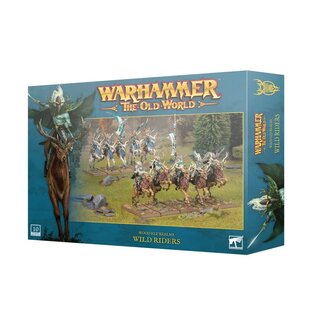 Games Workshop Wood Elf Realms: Wild Riders