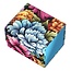 Ultimate Guard Sidewinder 100+ - Floral Places - Springbloom Meadow
