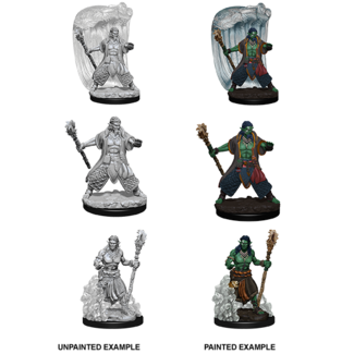 Wizkids Water Genasi Druid