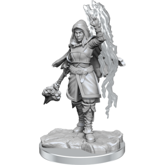Wizkids Half-Elf Warlock