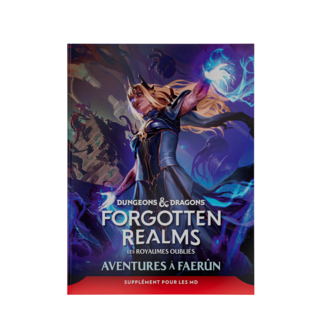 Wizards of the Coast Dungeons & Dragons: Forgotten Realms - Aventures à Faerûn - Supplément pour les MD (fra)