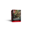 Wizards of the Coast Dungeons & Dragons: Reference Cards - Magic Items - Common and Uncommon (eng)