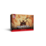 Wizards of the Coast Dungeons & Dragons: Reference Cards - Monsters - Animals and NPCs - CR 0-5 (eng)