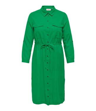 CARCARO LS LINEN SHIRT DRESS WVN Green Bee