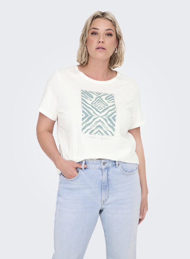 CARBOOSTERY LIFE SS REG TEE JRS Cloud Dancer Tribe
