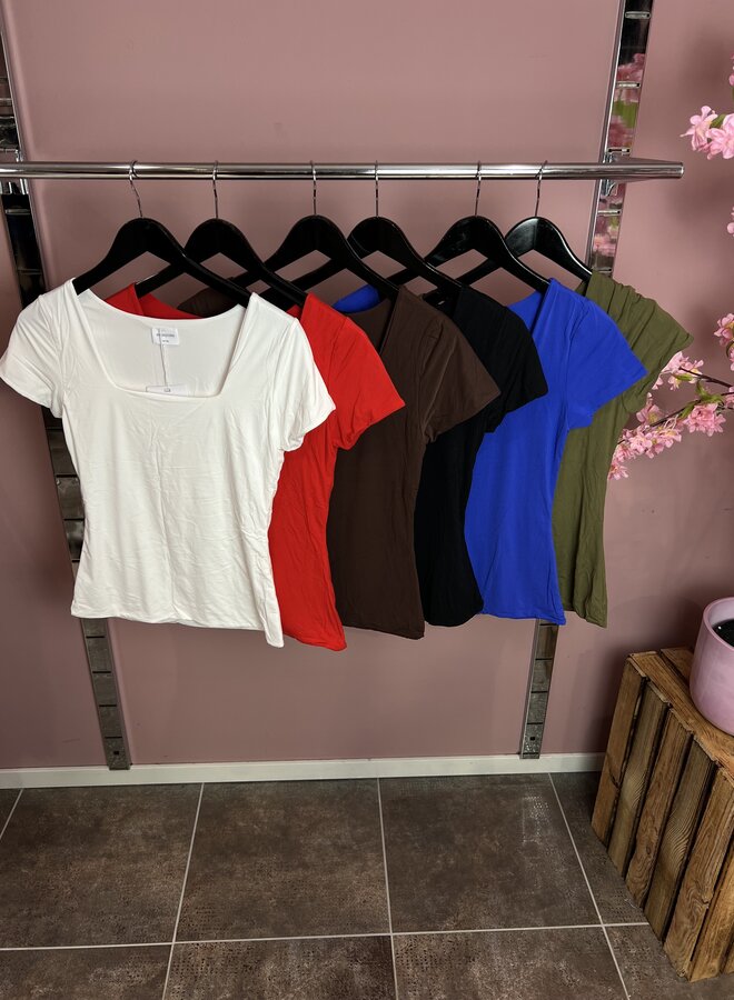 Shirt 1707 (meerdere kleuren)