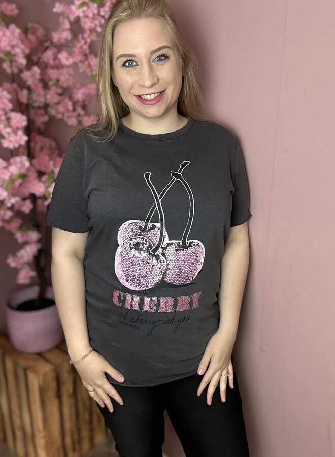 CARMIKO LIFE WASHED SS REG TEE JRS Blackened Pearl/Cherry