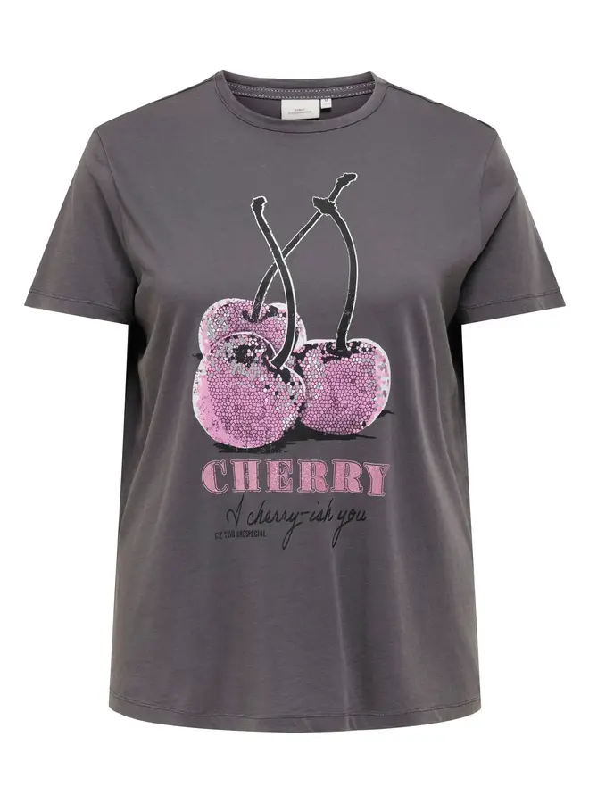 CARMIKO LIFE WASHED SS REG TEE JRS Blackened Pearl/Cherry