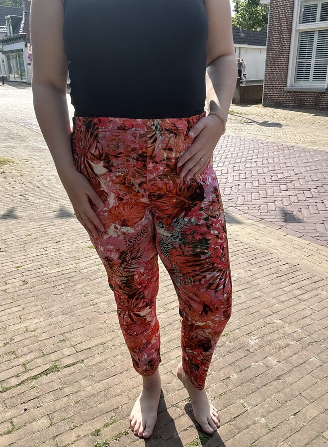 Legging F-31 Elbrich